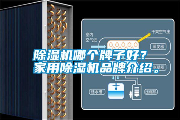 除濕機哪個牌子好?家用除濕機品牌介紹。