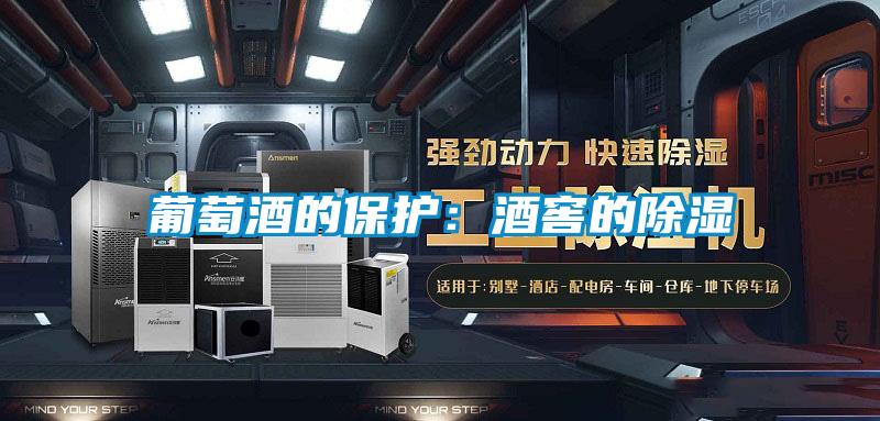 葡萄酒的保護(hù):酒窖的除濕