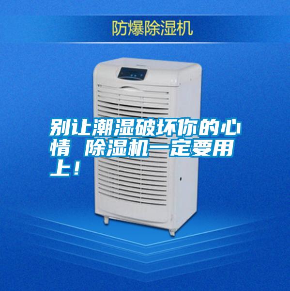 別讓潮濕破壞你的心情 除濕機一定要用上!
