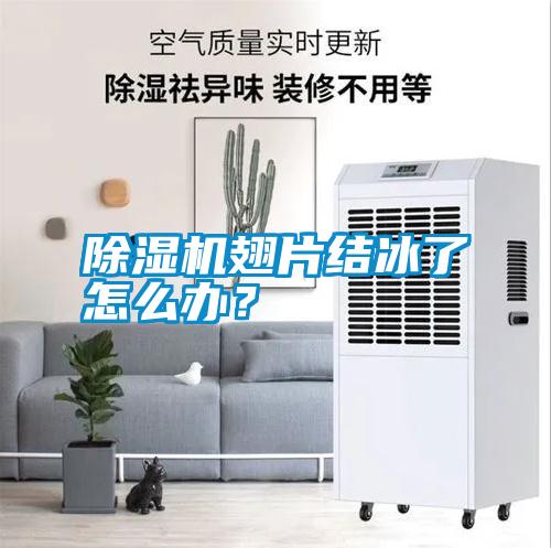 除濕機翅片結冰了怎么辦?
