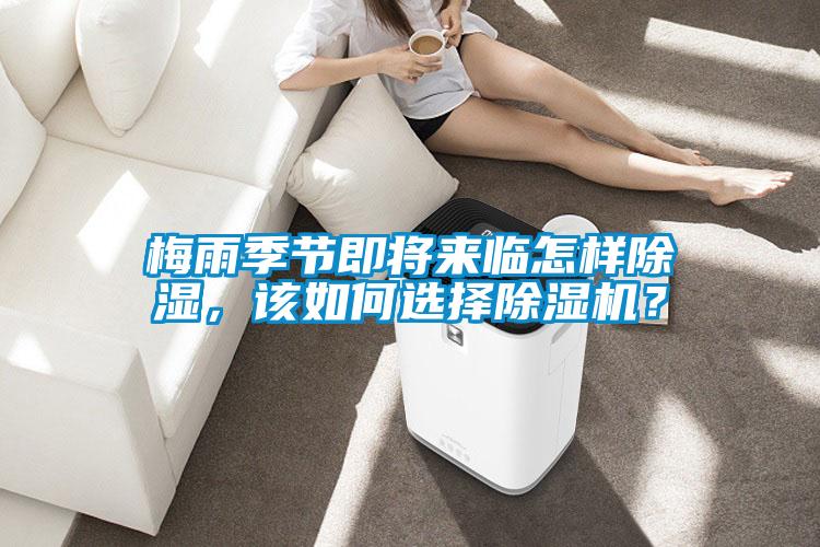 梅雨季節(jié)即將來(lái)臨怎樣除濕,該如何選擇除濕機(jī)?