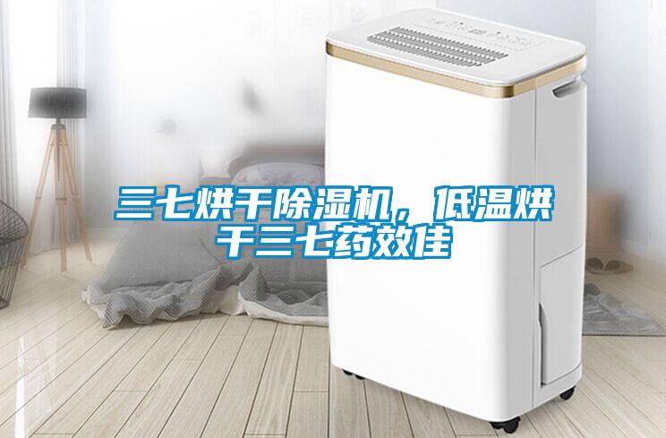 三七烘干除濕機，低溫烘干三七藥效佳