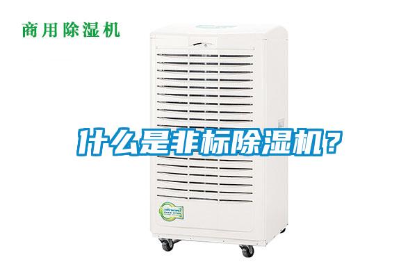 什么是非標除濕機？