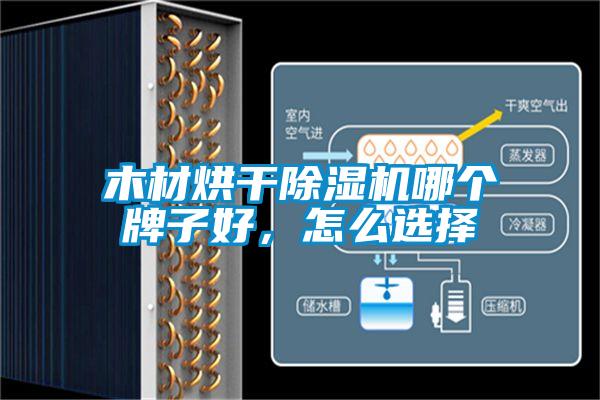 木材烘干除濕機(jī)哪個牌子好,怎么選擇