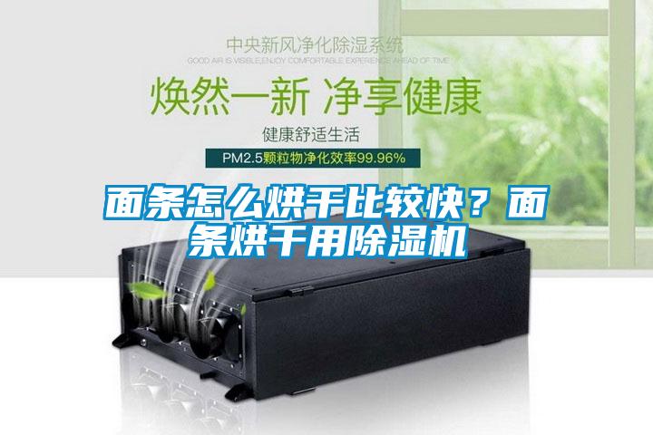 面條怎么烘干比較快？面條烘干用除濕機(jī)