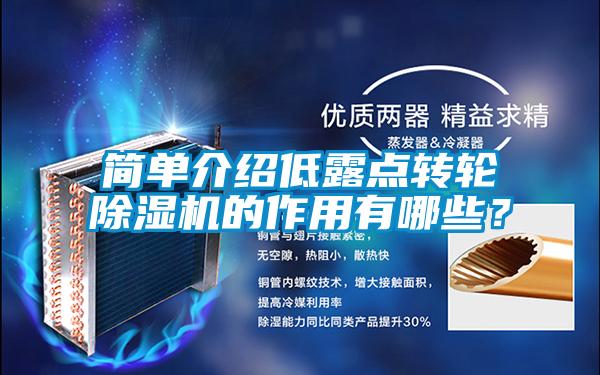 簡(jiǎn)單介紹低露點(diǎn)轉(zhuǎn)輪除濕機(jī)的作用有哪些?