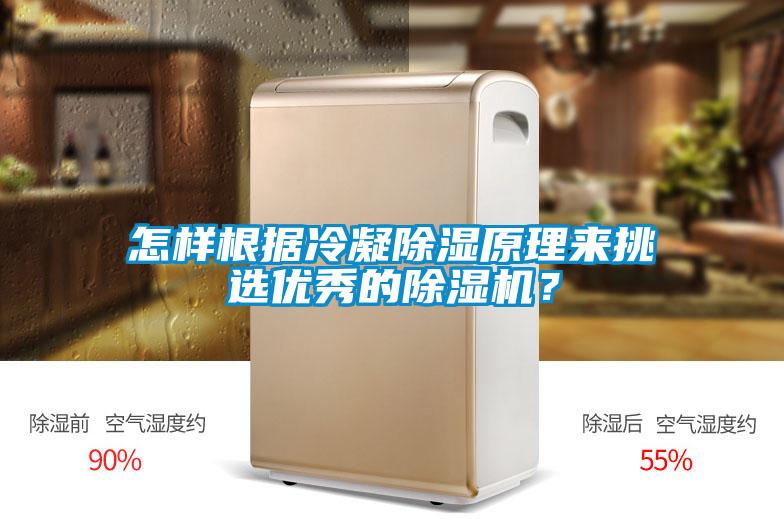 怎樣根據冷凝除濕原理來挑選優秀的除濕機?