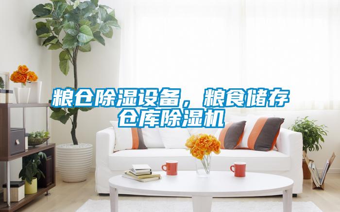 糧倉除濕設(shè)備,糧食儲(chǔ)存?zhèn)}庫除濕機(jī)