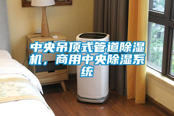 中央吊頂式管道除濕機,商用中央除濕系統