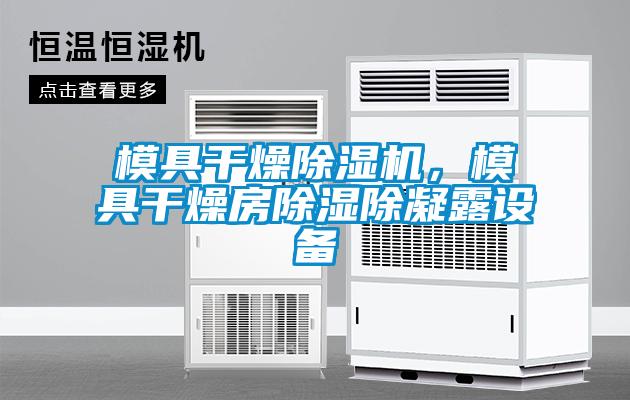 模具干燥除濕機，模具干燥房除濕除凝露設備