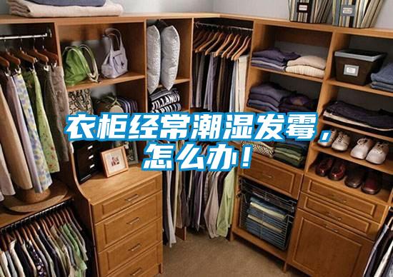 衣柜經常潮濕發霉，怎么辦！