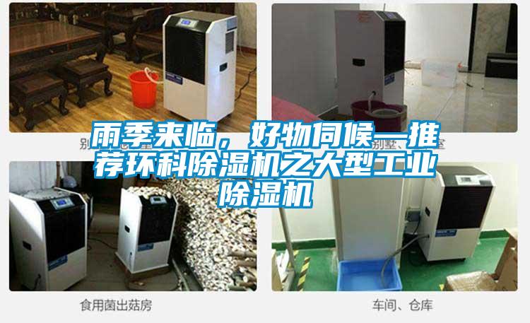 雨季來臨,好物伺候—推薦環科除濕機之大型工業除濕機