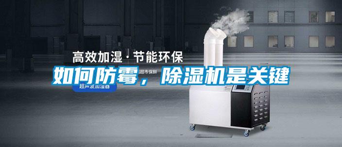 如何防霉,除濕機(jī)是關(guān)鍵