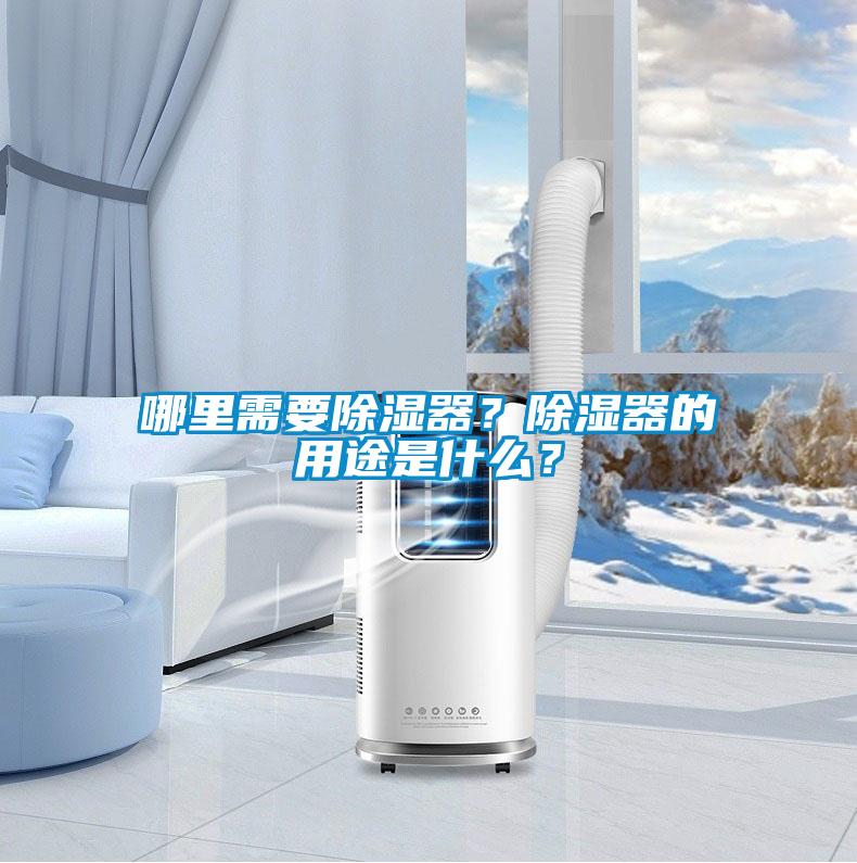 哪里需要除濕器？除濕器的用途是什么？