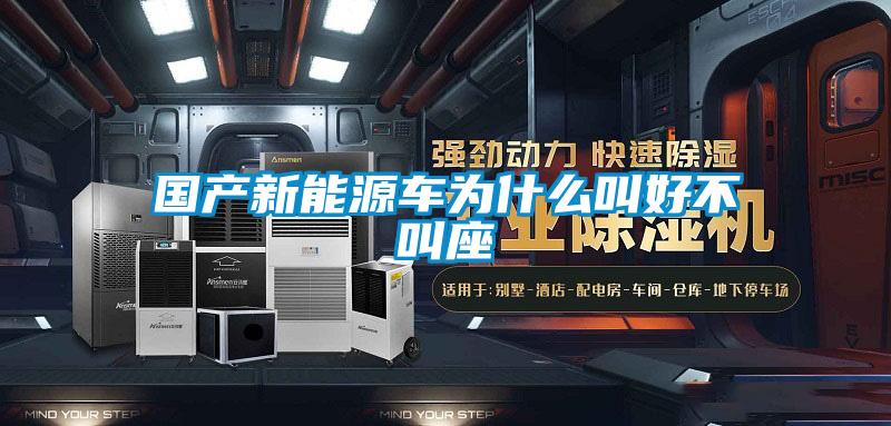 國產新能源車為什么叫好不叫座