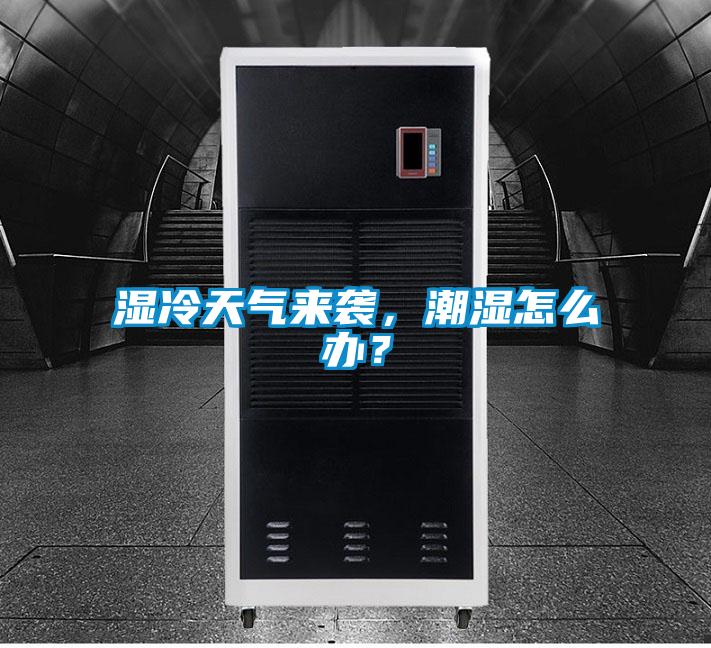 濕冷天氣來襲，潮濕怎么辦？