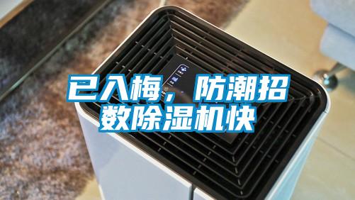 已入梅，防潮招數除濕機快