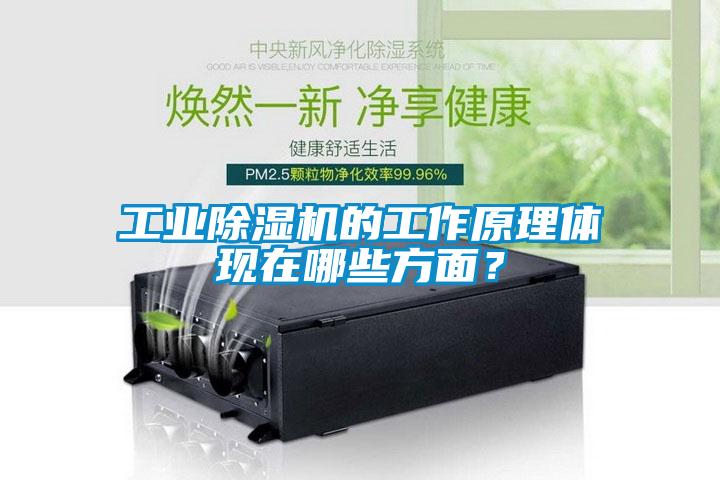 工業除濕機的工作原理體現在哪些方面?
