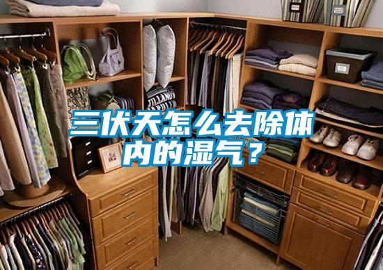 三伏天怎么去除體內(nèi)的濕氣？
