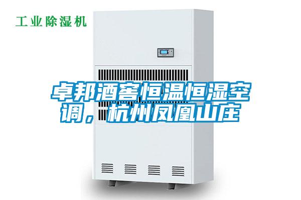 卓邦酒窖恒溫恒濕空調，杭州鳳凰山莊