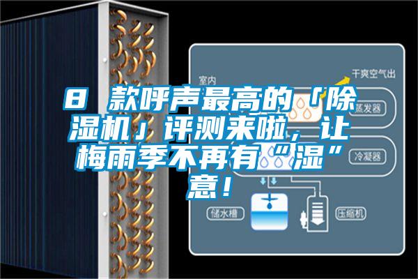 8 款呼聲最高的「除濕機」評測來啦,讓梅雨季不再有“濕”意!