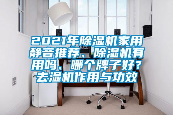 2021年除濕機家用靜音推薦、除濕機有用嗎、哪個牌子好？去濕機作用與功效