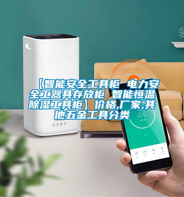 【智能安全工具柜 電力安全工器具存放柜 智能恒溫除濕工具柜】?jī)r(jià)格,廠家,其他五金工具分類
