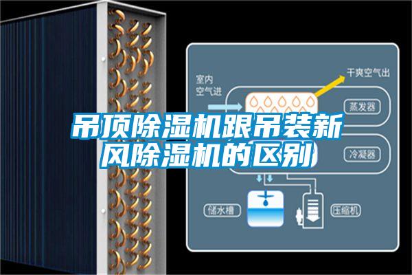 吊頂除濕機跟吊裝新風除濕機的區別