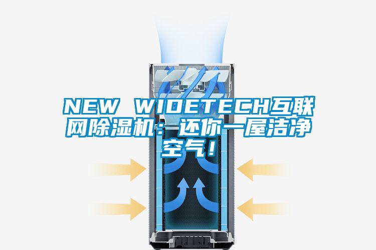 NEW WIDETECH互聯(lián)網(wǎng)除濕機(jī):還你一屋潔凈空氣!