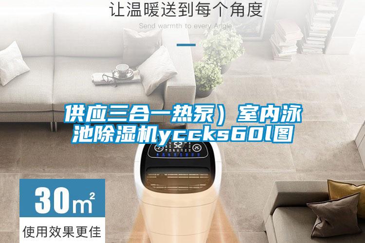 供應(yīng)三合一熱泵)室內(nèi)泳池除濕機(jī)yccks60l圖