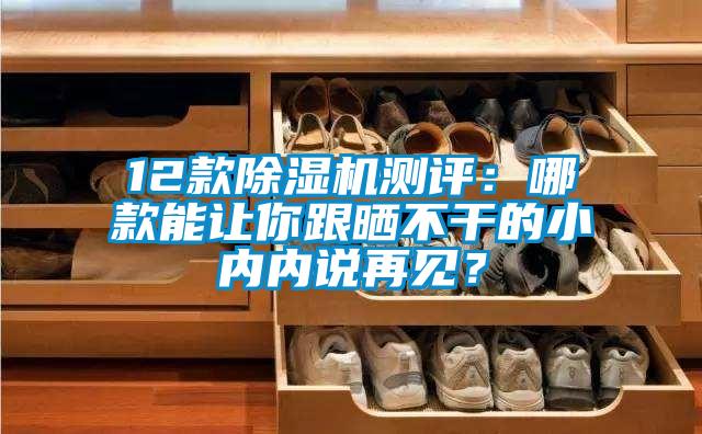 12款除濕機測評:哪款能讓你跟曬不干的小內內說再見?