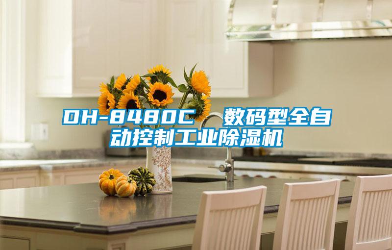 DH-8480C 數碼型全自動控制工業除濕機