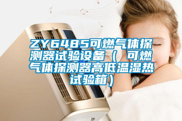 ZY6485可燃?xì)怏w探測(cè)器試驗(yàn)設(shè)備( 可燃?xì)怏w探測(cè)器高低溫濕熱試驗(yàn)箱)