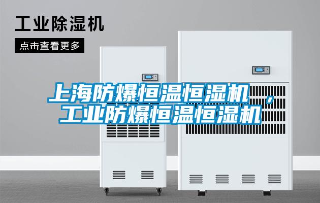 上海防爆恒溫恒濕機 ，工業防爆恒溫恒濕機