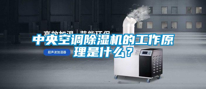 中央空調除濕機的工作原理是什么？