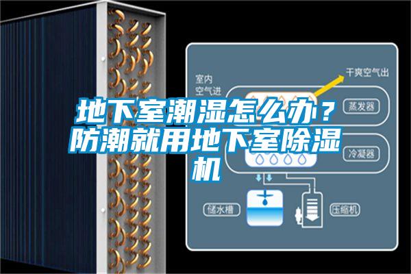 地下室潮濕怎么辦?防潮就用地下室除濕機(jī)