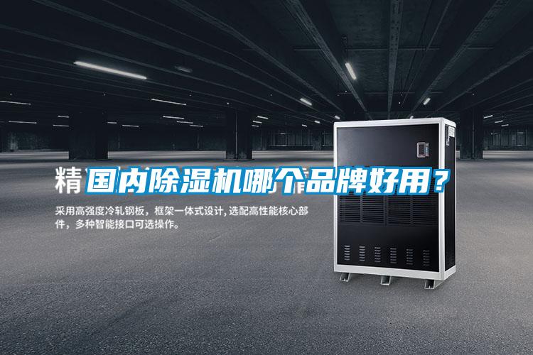 國內(nèi)除濕機哪個品牌好用?