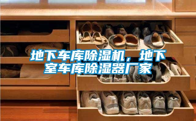 地下車庫除濕機，地下室車庫除濕器廠家