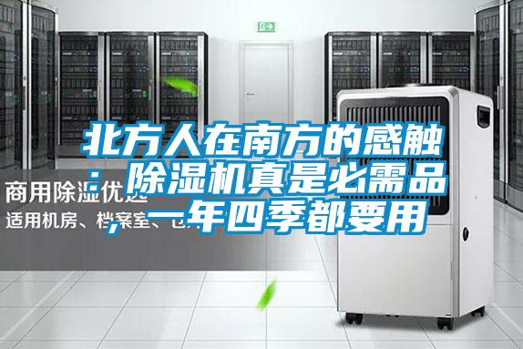 北方人在南方的感觸：除濕機真是必需品，一年四季都要用