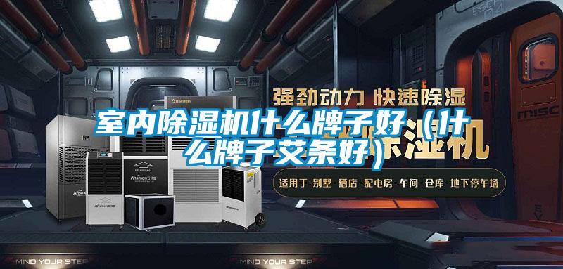 室內除濕機什么牌子好(什么牌子艾條好)