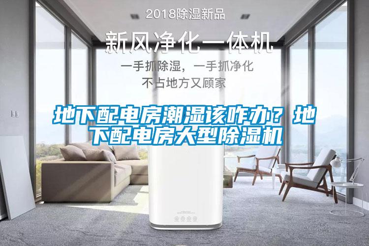 地下配電房潮濕該咋辦?地下配電房大型除濕機