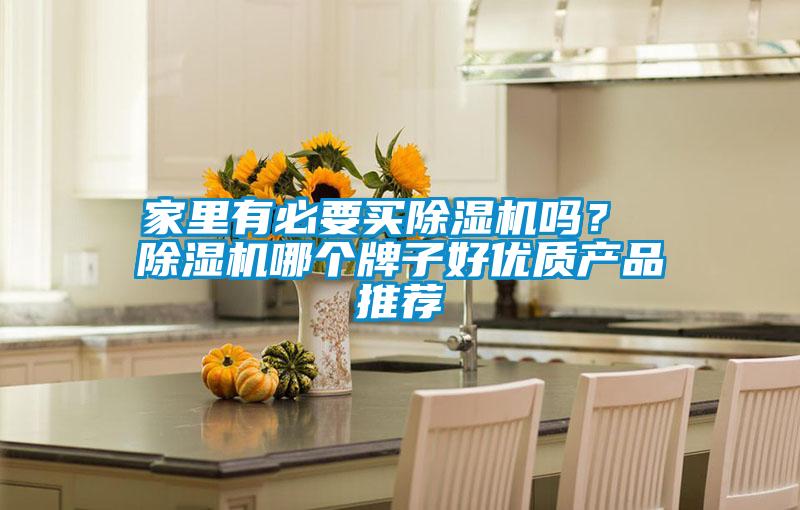 家里有必要買除濕機嗎? 除濕機哪個牌子好優質產品推薦
