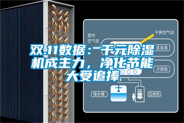 雙.11數據：千元除濕機成主力，凈化節能大受追捧