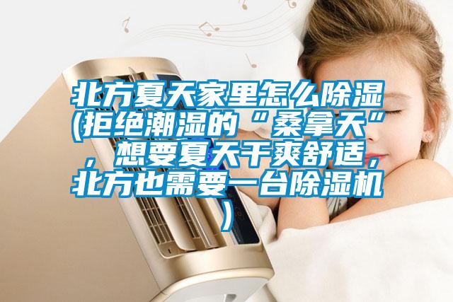 北方夏天家里怎么除濕(拒絕潮濕的“桑拿天”，想要夏天干爽舒適，北方也需要一臺除濕機)