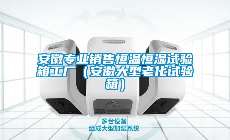安徽專業銷售恒溫恒濕試驗箱工廠(安徽大型老化試驗箱)