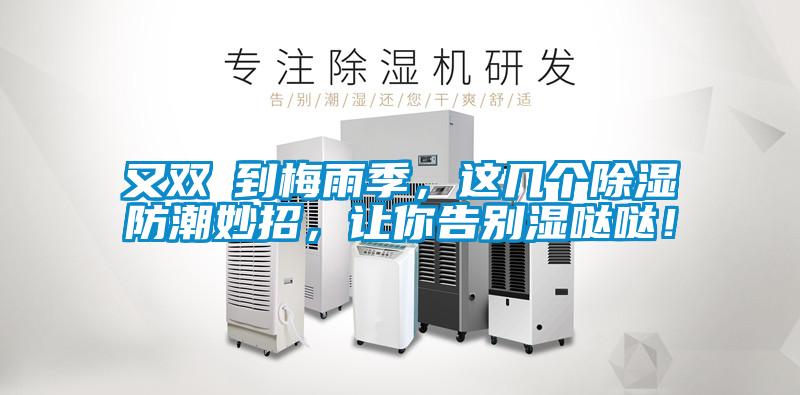 又雙叒到梅雨季，這幾個除濕防潮妙招，讓你告別濕噠噠！