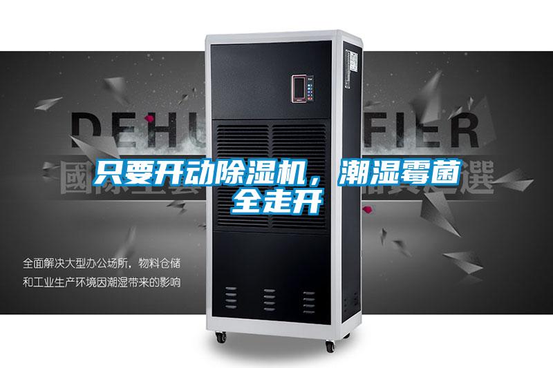 只要開動(dòng)除濕機(jī),潮濕霉菌全走開