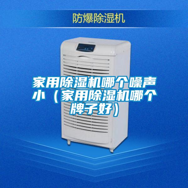 家用除濕機哪個噪聲?。矣贸凉駲C哪個牌子好)