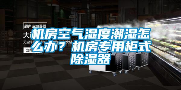 機房空氣濕度潮濕怎么辦？機房專用柜式除濕器