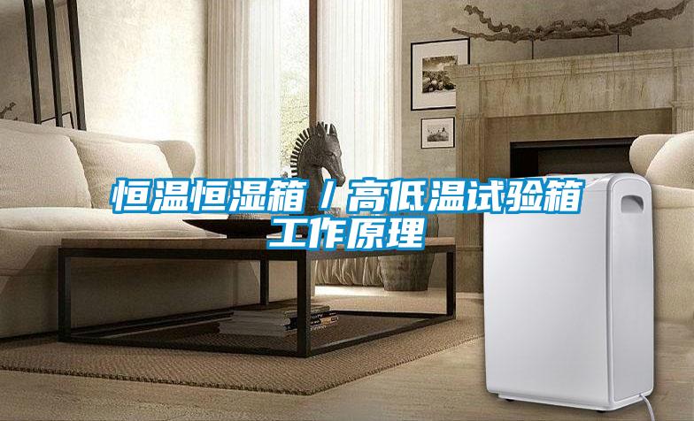 恒溫恒濕箱/高低溫試驗(yàn)箱工作原理